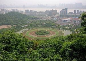 画八卦田,探寻古代智慧与自然和谐共生的奥秘